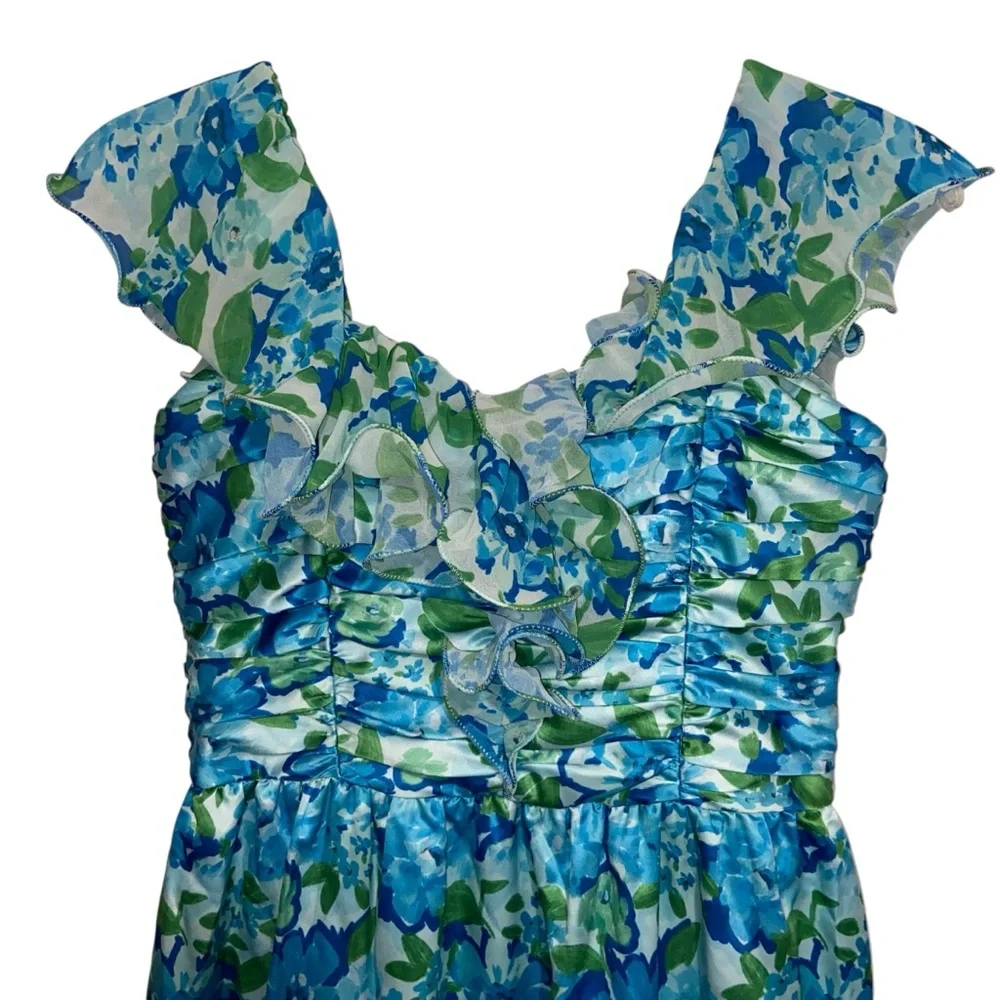 Amur Dress Womens Size 6 Pia Garden Blues Floral Pleated Tiered Midi Cottage - Picture 7 of 16